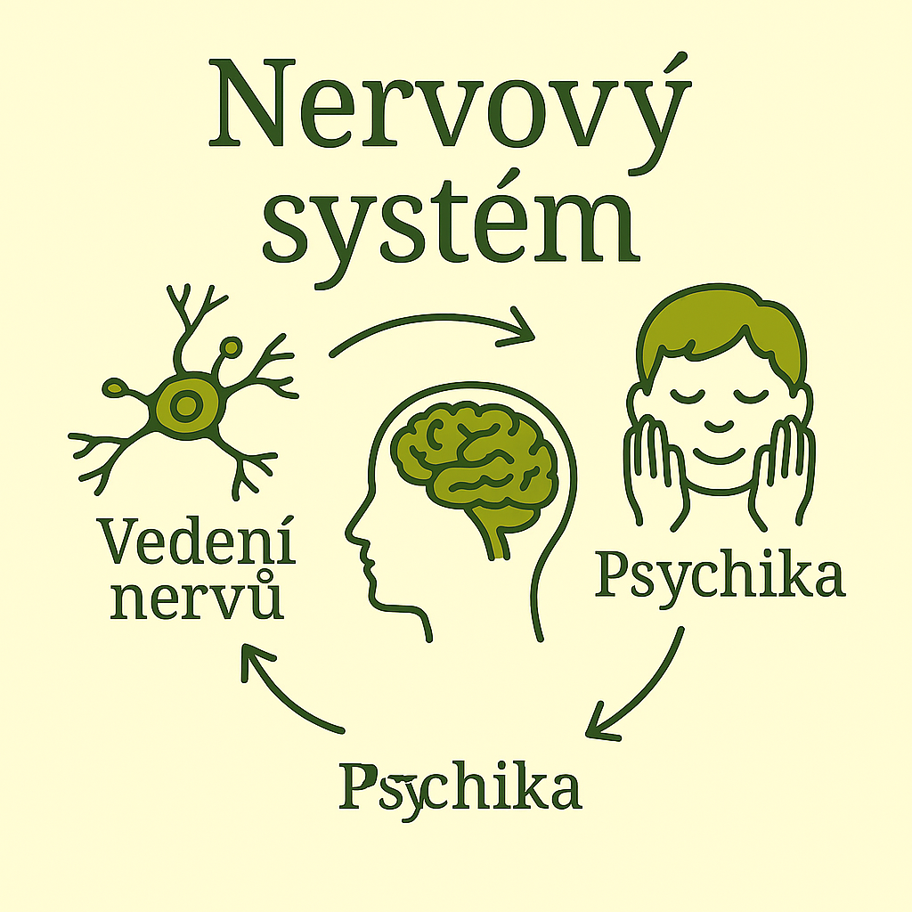 Nervový systém